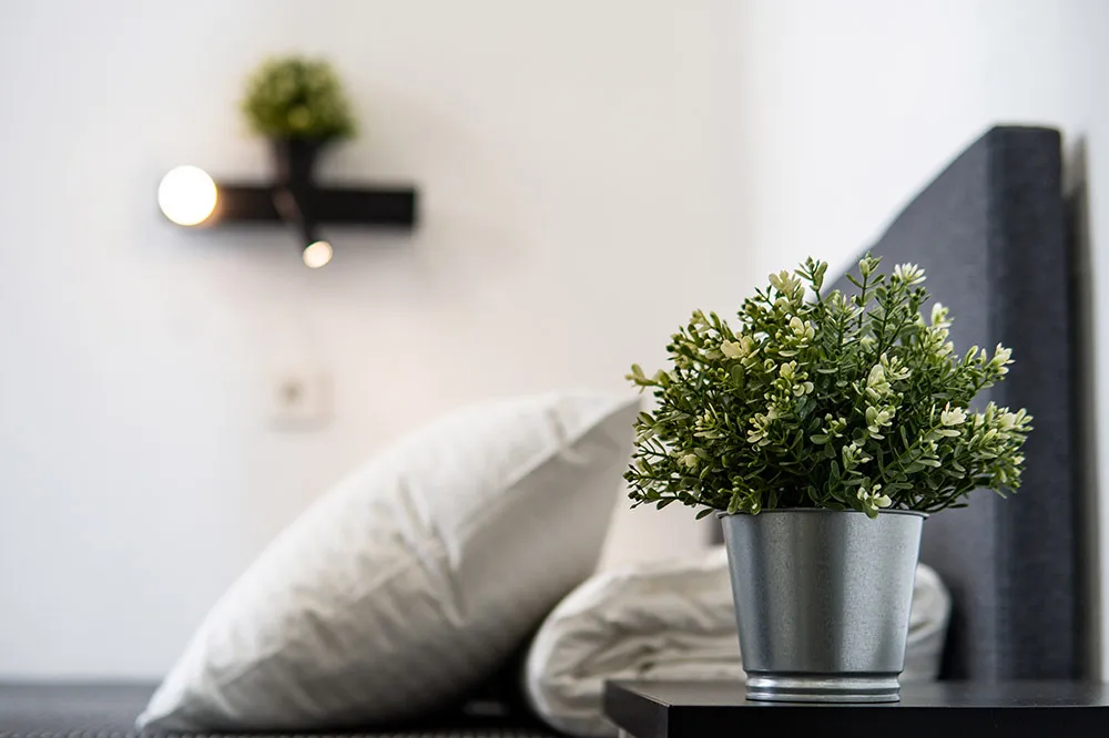 Эконом одноместный улучшенный